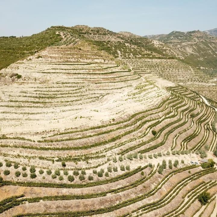 Pupa Winery & Guest House - Berat